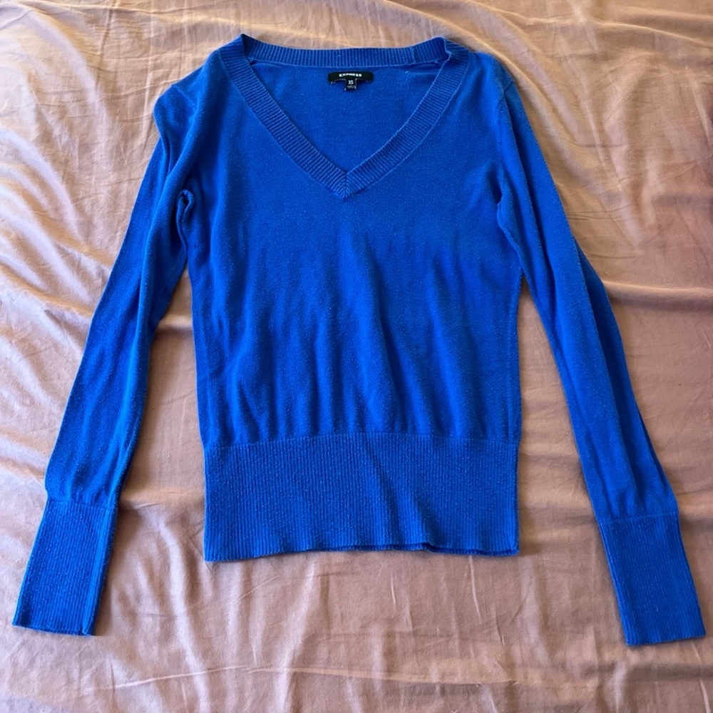 Express V-Neck Blue Sweater